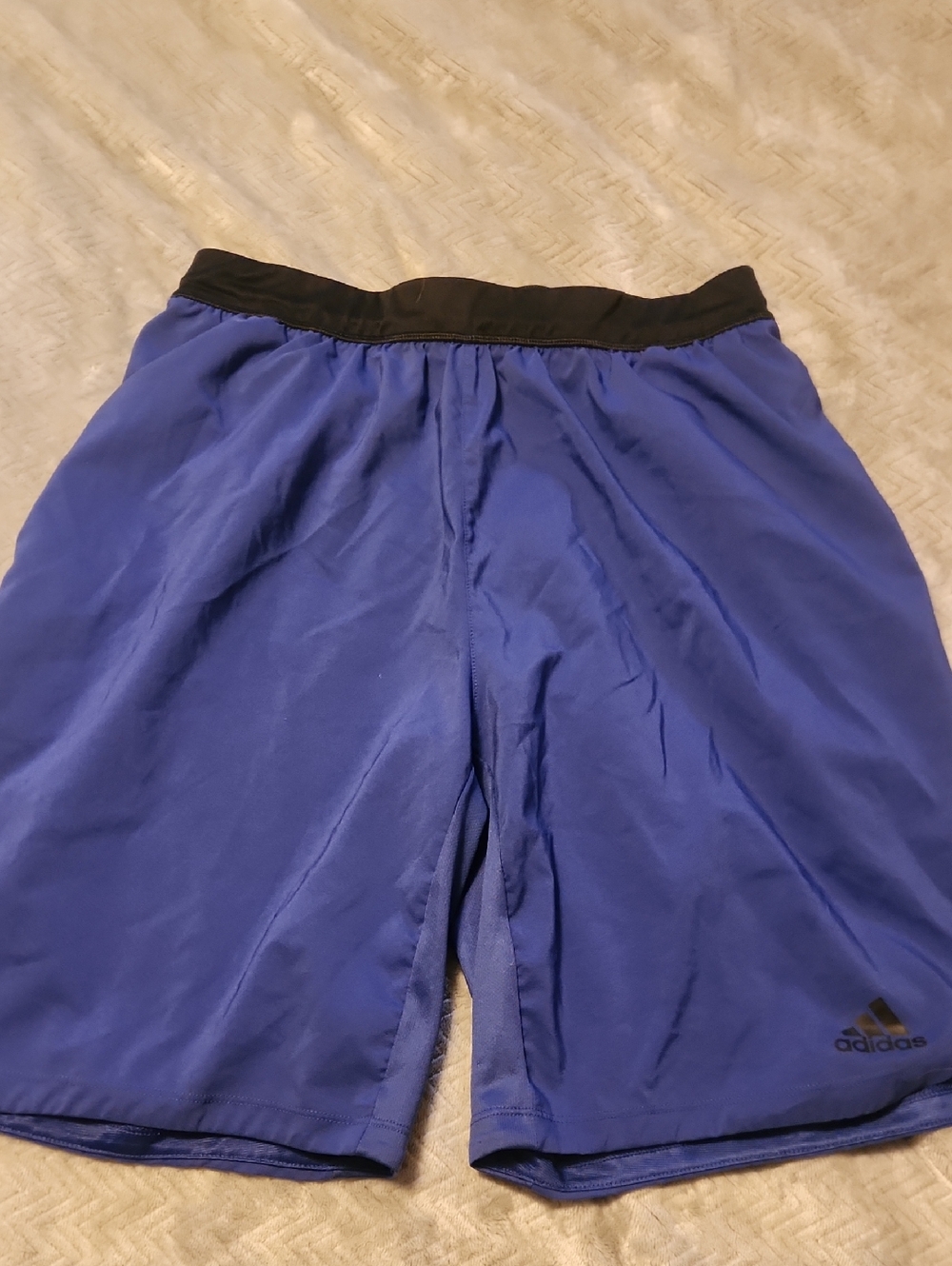 adidas Blue Shorts with Black Waistband
